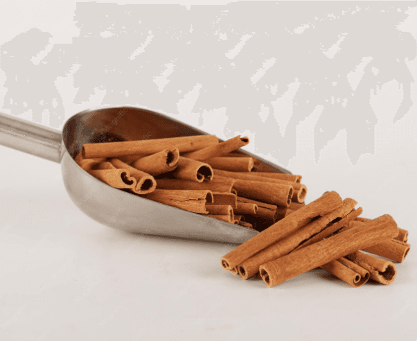 Cinnamon (Patta)